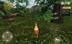 Life of Horse - Wilde Sim Bild 1