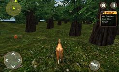 Life of Horse - Wilde Sim Bild 7