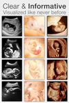 Gambar Pregnancy ++ 1