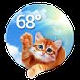 APK-иконка Погода с котятами