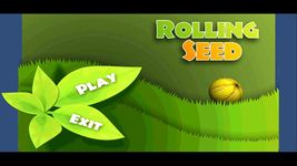 Balance Ball 3D-Rolling Seed image 1