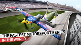 Red Bull Air Race - Het Spel afbeelding 