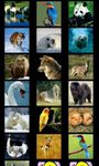 Imagem 3 do Niños Animal Puzzle