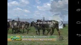 Captura de tela do apk Live TV Brasil 4