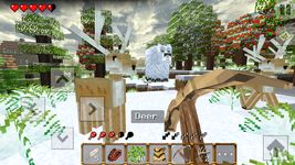 Imagem  do Winter Craft 4: Ice Age