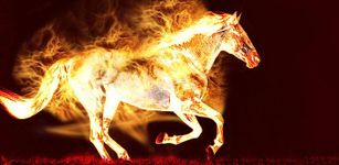 Imagem 3 do Fire Horse 3D