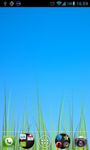 Gambar Grass live wallpaper 3