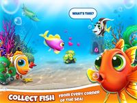 Welt der Fische Bild 2