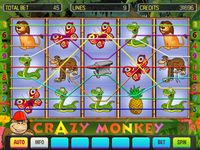 Imagine Crazy Monkey Deluxe 9