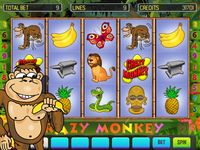 Crazy Monkey Deluxe image 10
