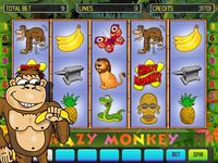 Crazy Monkey Deluxe Bild 