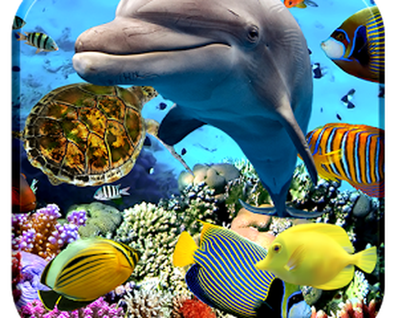 Aquarium Fish Live Wallpaper 2018 Android Free Download