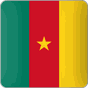 Cameroun Actualites APK