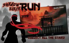 Shadow Ninja Run ảnh số 2