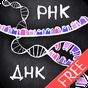 айМолекула: Биология ДНК Free APK