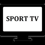 Imagem  do Sport TV ao vivo