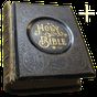 Ícone do apk Bíblia Sagrada -Várias versões