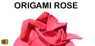 Immagine 1 di Virtuale impianto Origami Rose