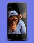 3D Monkey Live Wallpaper imgesi 1