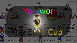 Gambar Air Hockey Euro Cup 8