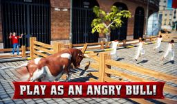 Angry Bull 2016 image 1