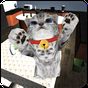 APK-иконка Cute cat simulator 3D