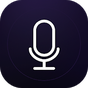 Voice Recorder - Audio Recorder apk icon