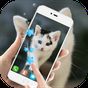 APK-иконка Симпатичные кошки живые обои