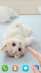 Cute cat Live wallpaper image 1