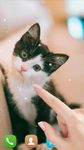 Cute cat Live wallpaper image 5