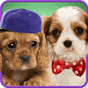 APK-иконка Говорящие собаки.