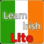 Learn Irish Lite {demo} APK Icon