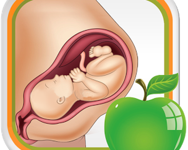 Pregnancy Tips Diet Nutrition APK - Free download app for ...