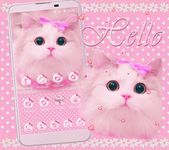 Gambar pink kucing tema kitty 