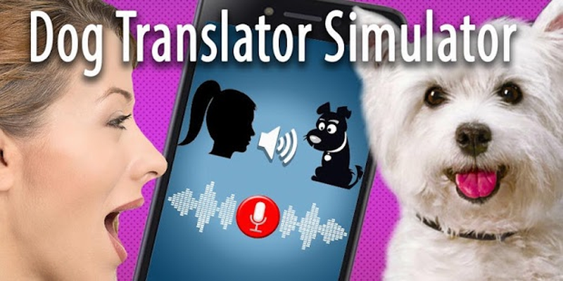 dog translator