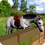 Cute Horse Pony Simulator Ride APK