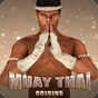 Icône apk Muay Thai - Fighting Origins