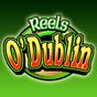 Reels O Dublin HD Slot Machine apk icon