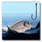 Fishing Day APK