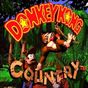 Ícone do apk Donkey Kong Country