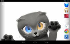 Imagen 15 de Gato en vivo papel pintado HD