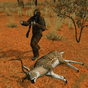 la chasse safari APK