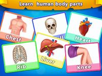 รูปภาพที่  ของ Basic Skill Learning Human Body Parts