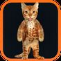 Ícone do apk Real Talking Cat