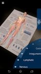 Картинка 4 Anatomy 4D