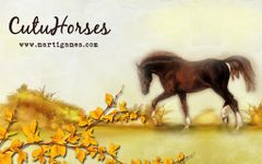 Captura de tela do apk Cutu-Horses 1