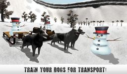 Neige Traîneau à chiens 3D image 11