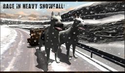 Neige Traîneau à chiens 3D image 12