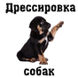 APK-иконка Дрессировка собак