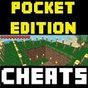 Trucchi: Minecraft Pocket PE APK